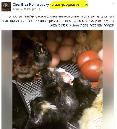 ביקורת חוות לולי