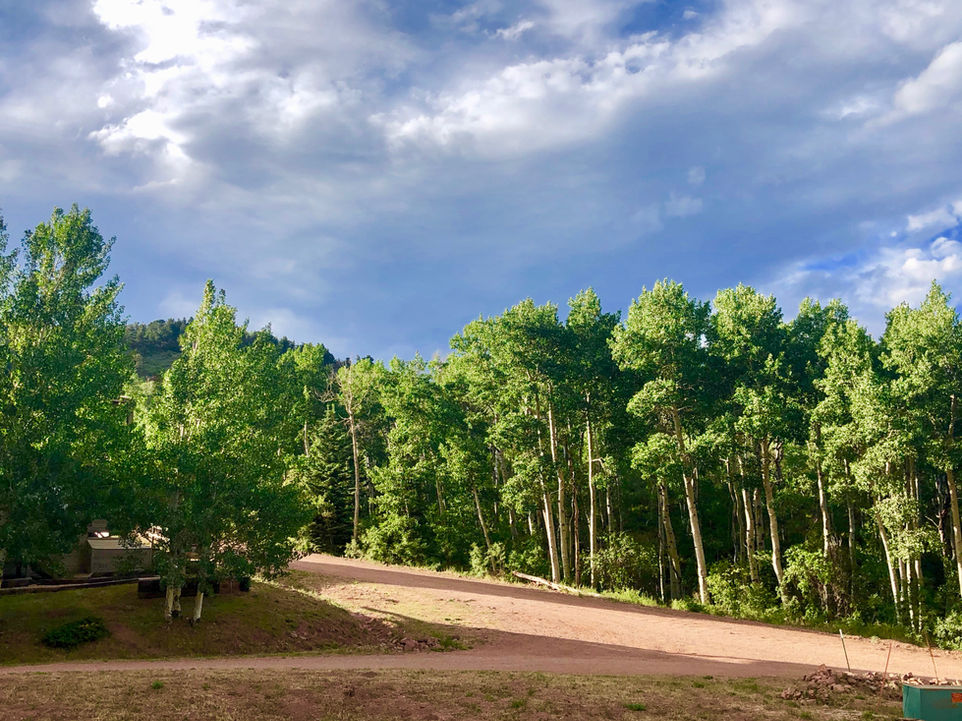 Baker Creek - Aspen Leaf Village Condos