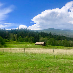 Elk Meadow