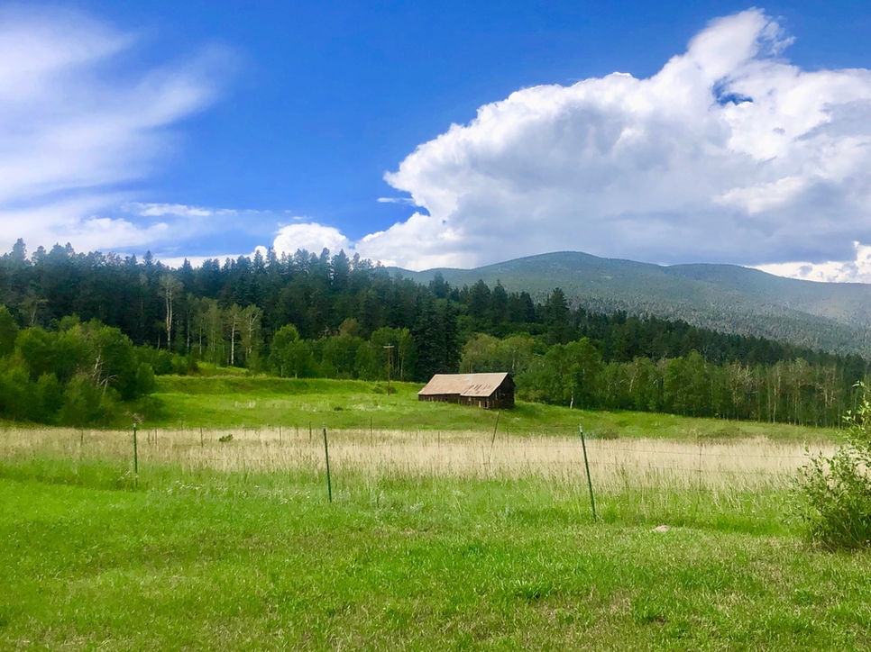 Elk Meadow