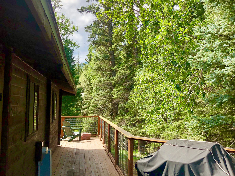 Peaceful Pines