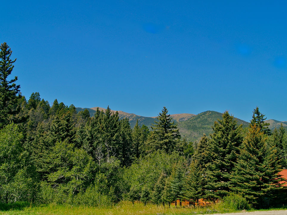 Bear Foot Getaway