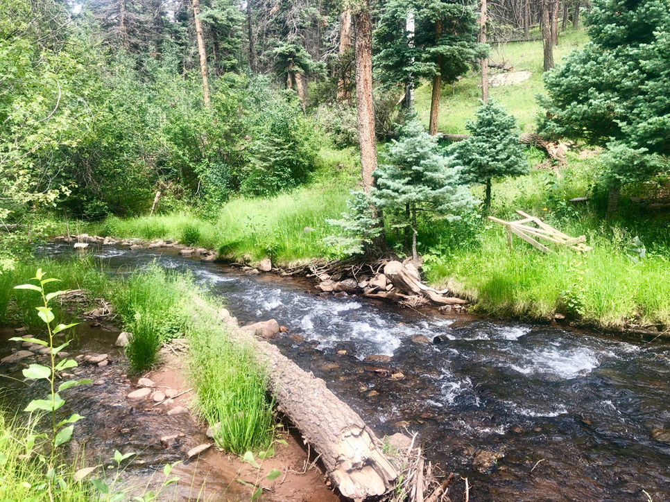 Elk Meadow