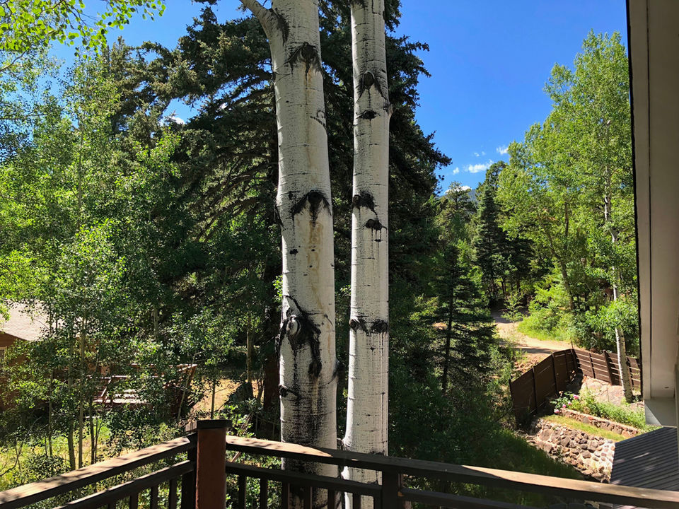 Whispering Creek