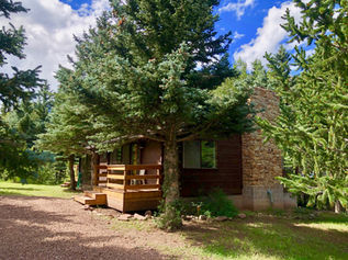Peaceful Pines