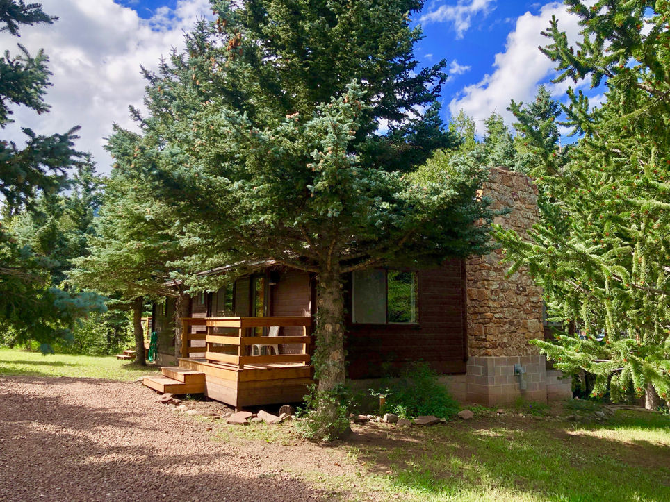 Peaceful Pines