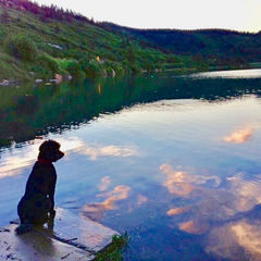 North Lake