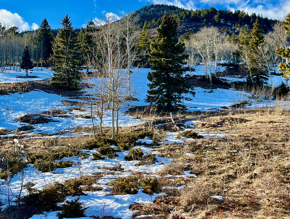 Rocky Mountain High