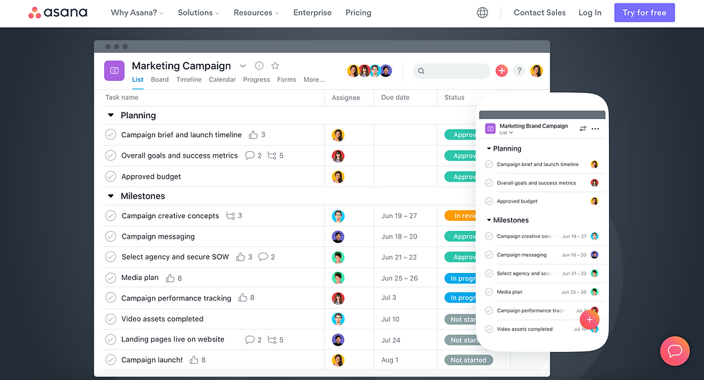 asana project management