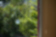 Collision mark or impact of a bird, probably a pigeon, against a large window of a country