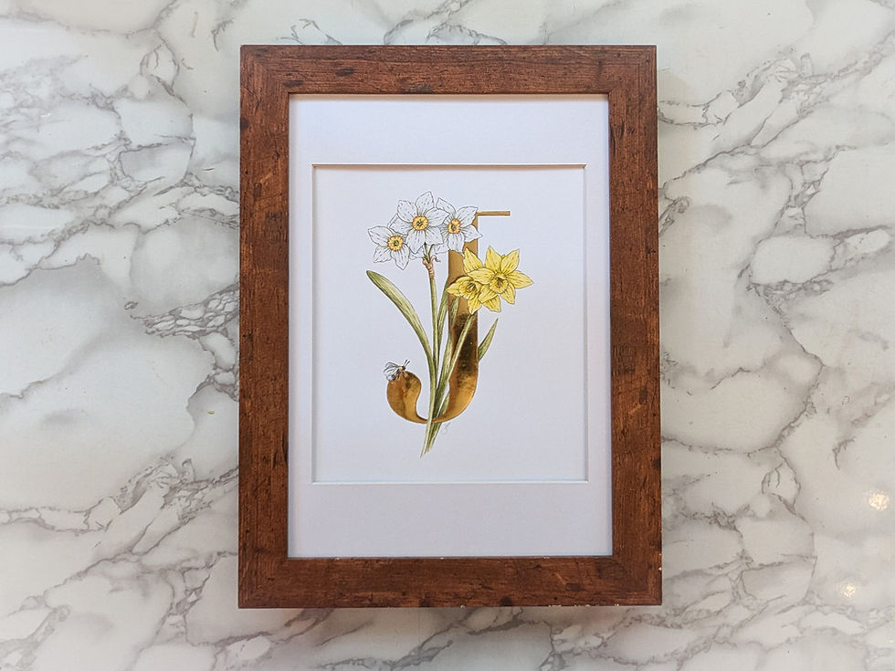 Thumbnail: J is for Jonquil Gold Leaf Print