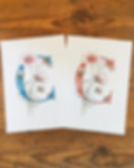 Thumbnail: C is for Cosmos Print