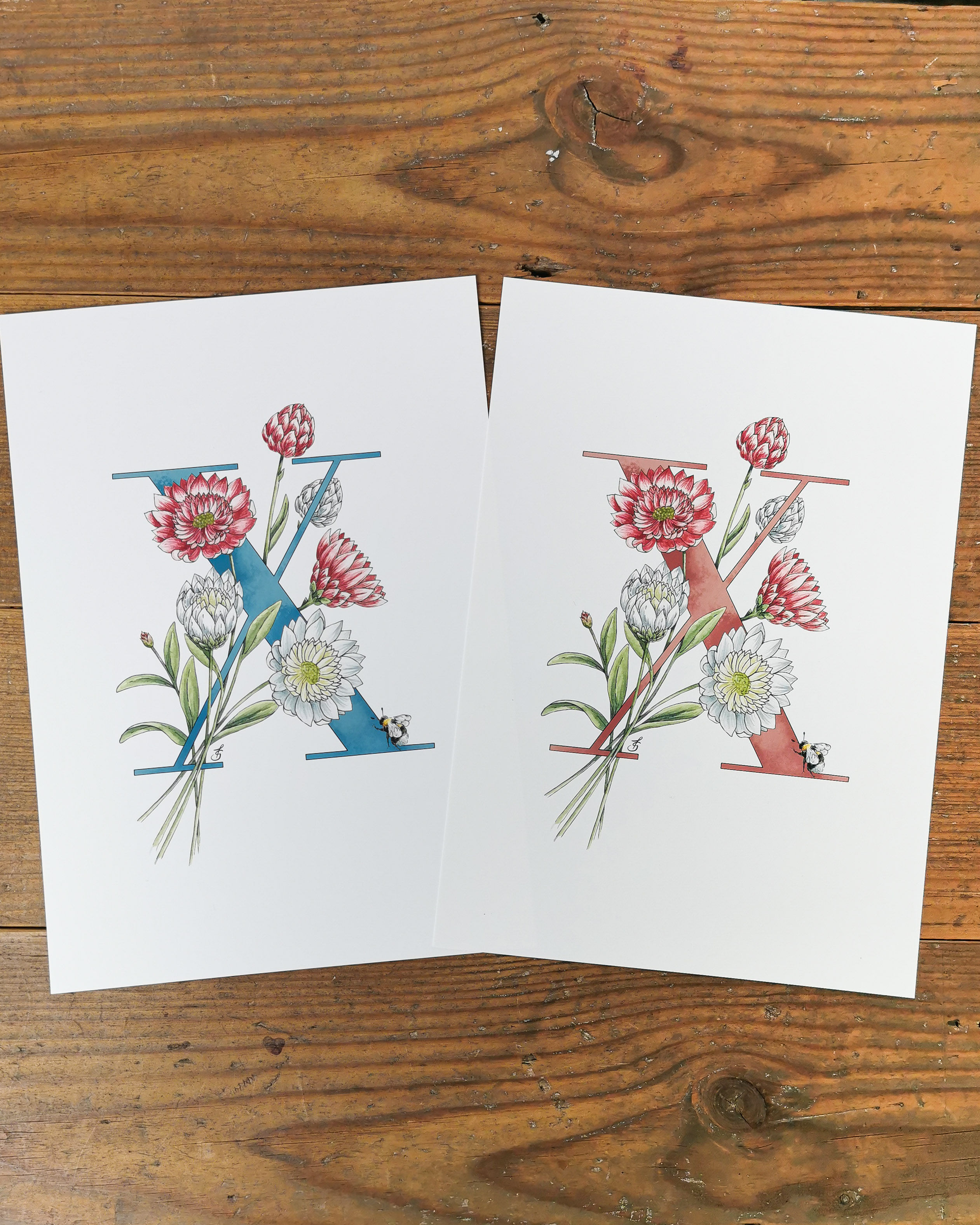 X is for Xeranthemum Print