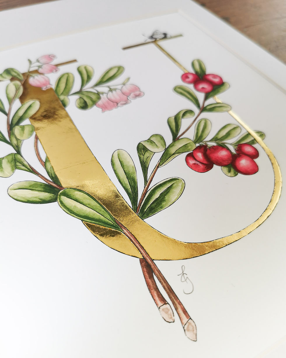 Thumbnail: U is for Uva Ursi Gilded Print
