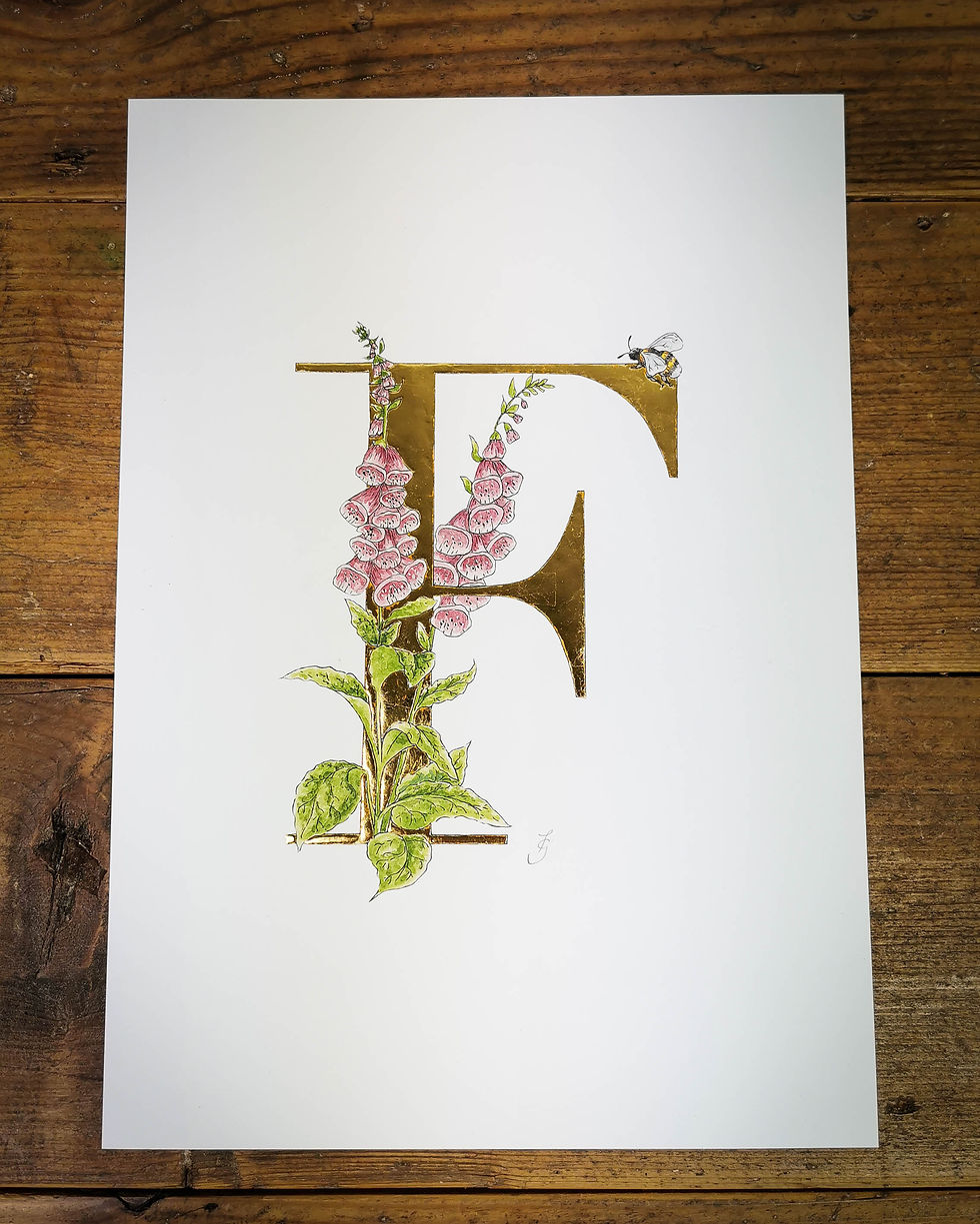 Thumbnail: F is for Foxglove Gilded Print