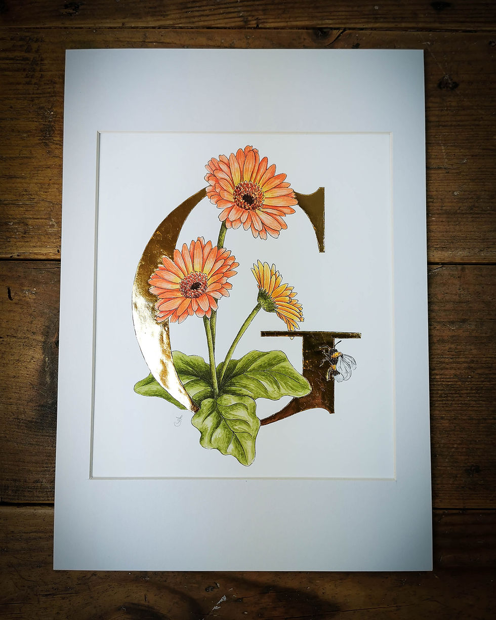 G is for Gerbera Gilded Print