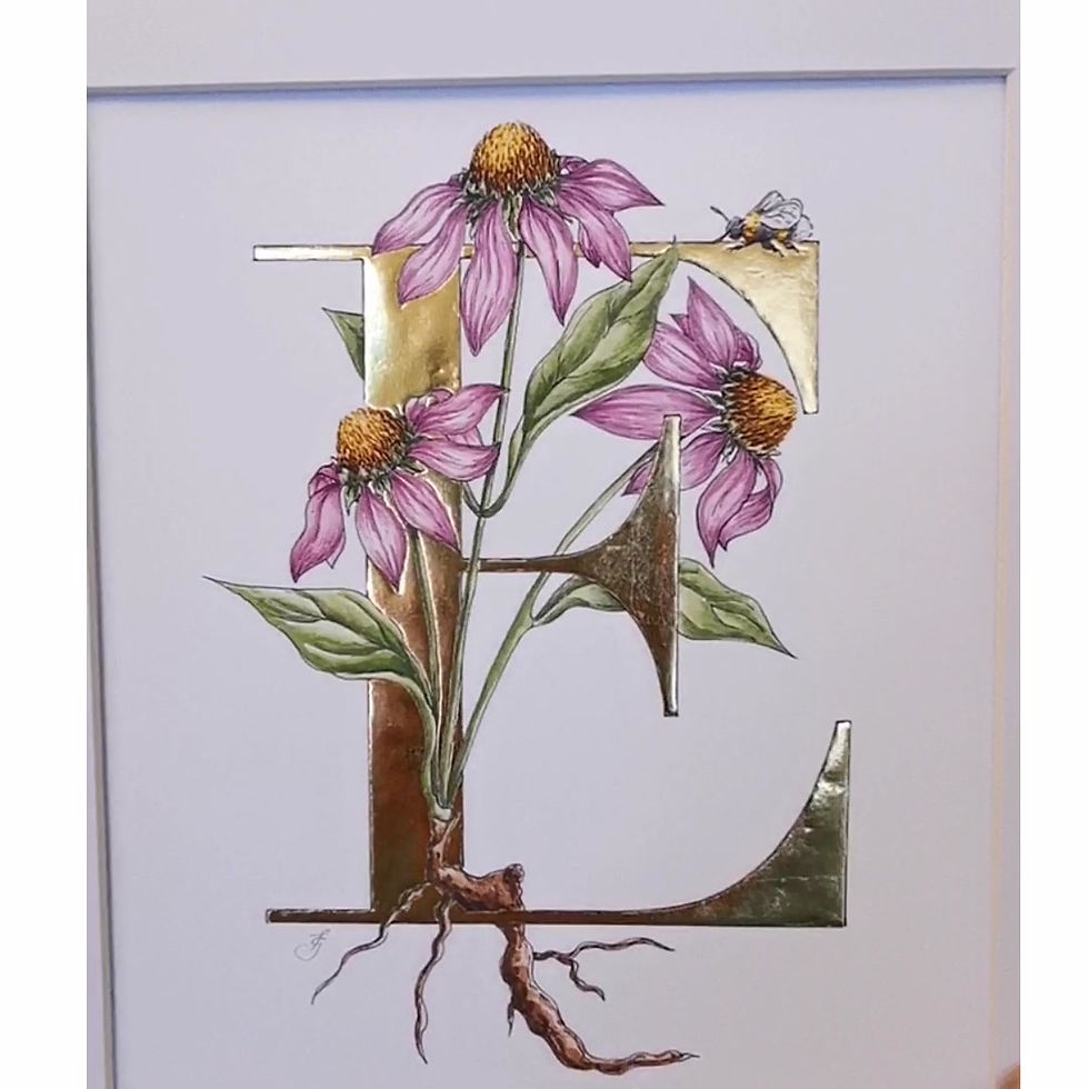 Thumbnail: E is for Echinacea Gold Leaf Print