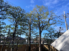 富田林T様邸年間維持管理