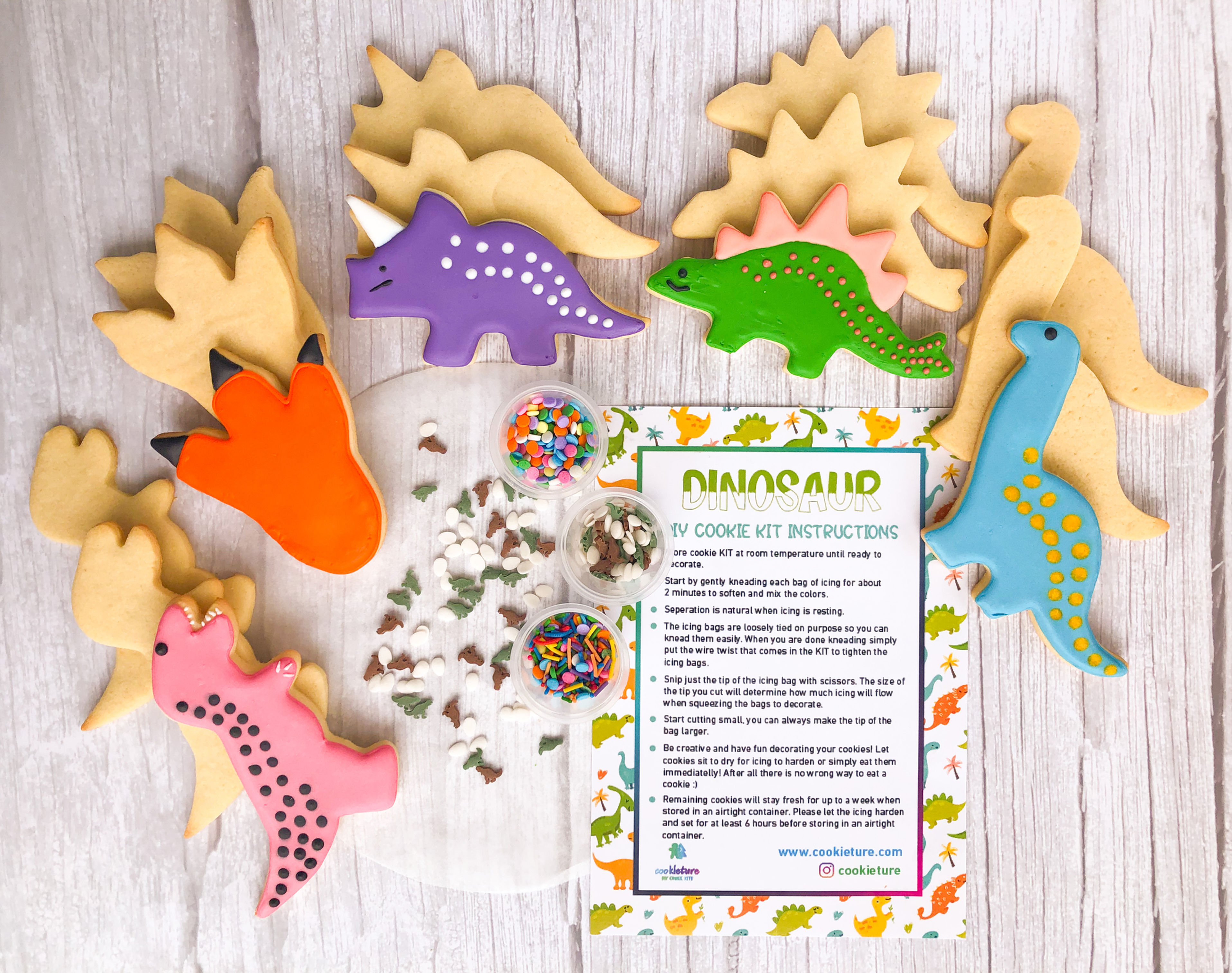 Dinosaur Cookie Decorating KIT