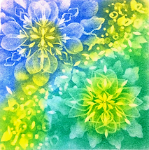 FullSizeRender (2)_edited_edited.png