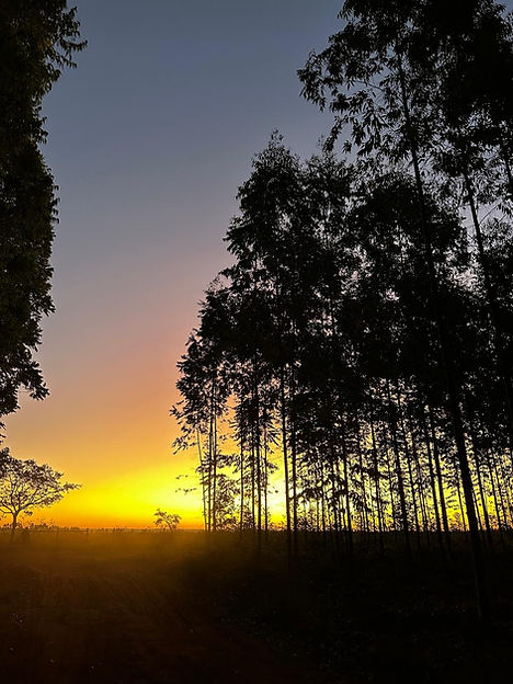 Final de tarde em nossa produção