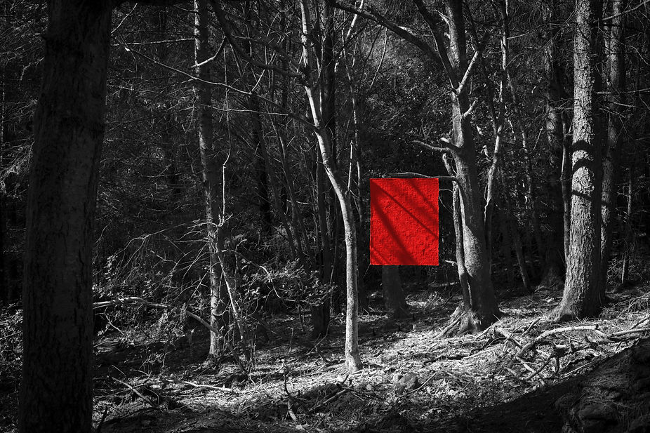 BlackWhiteRed-NoBody.jpg