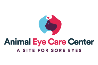 Eye care center for animals 2025