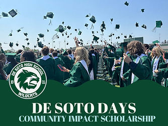 DDays Scholarship Image_edited.jpg