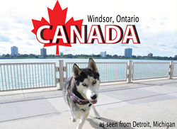 nook-canada copy.jpg