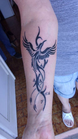 40536419_1877796732304351_65202582580017