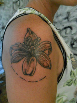 20245331_1450254438391918_46583383137957