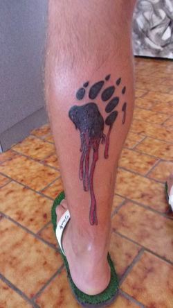 40031652_1869778939772797_86244706258905