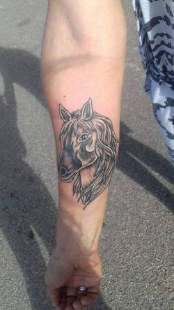 20664494_1464323996984962_66753906602584