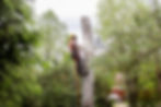 AdobeStock_275710393.jpeg