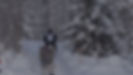 NINJAV_S001_S001_T111.MOV.02_56_32_26.Still004.jpg