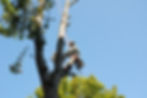 AdobeStock_255130926.jpeg