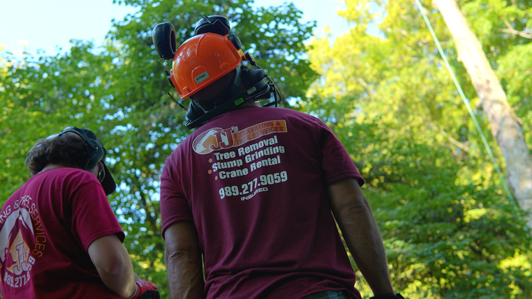two JJ crew looking up at trees