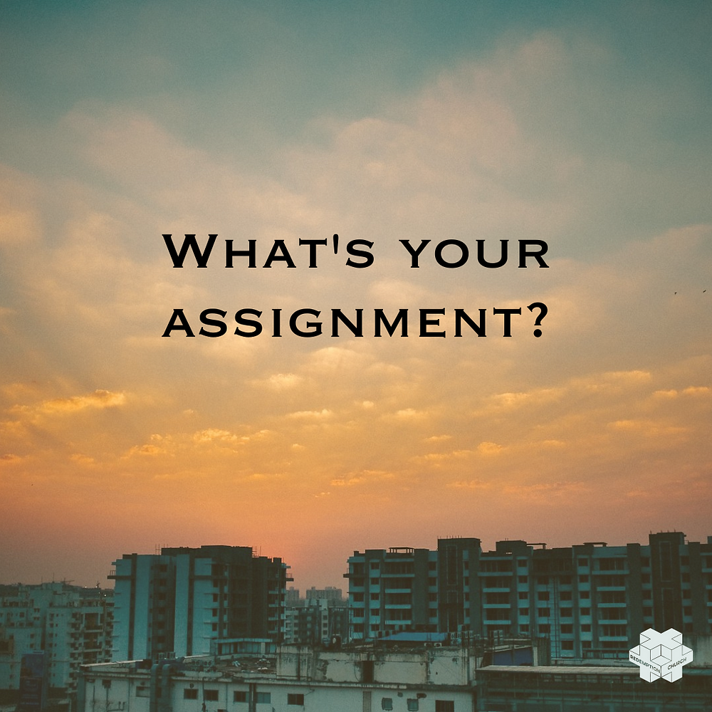Know The Assignment What's Your Assignment
