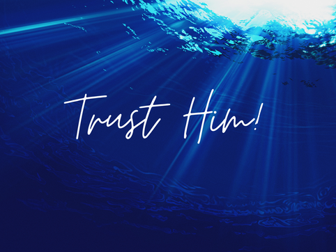 Trust Him
