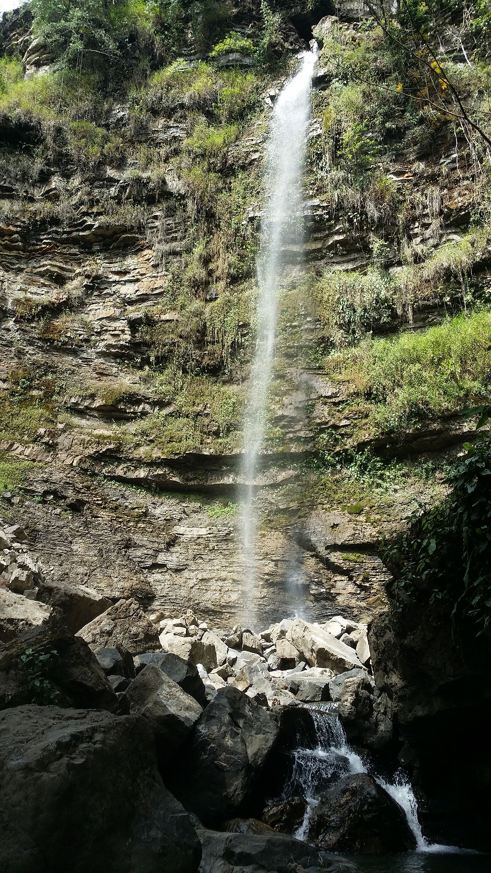 Vegetación de musgos alrededor de cascada
