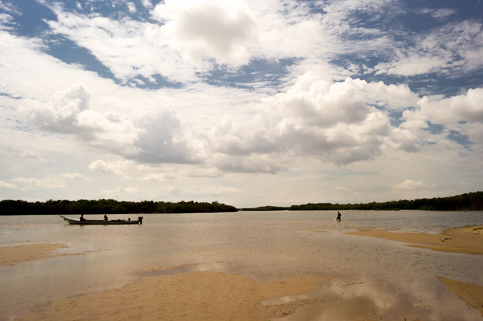 Golfo de Venezuela