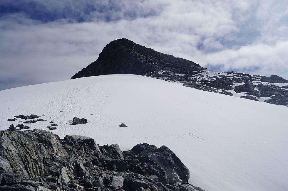 Glaciar La Corona y Pico Humboldt
