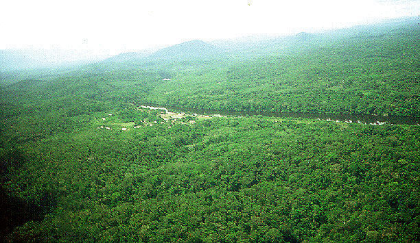 Asentamiento en selva guayanesa