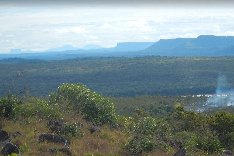 Cerro Guaiquinima