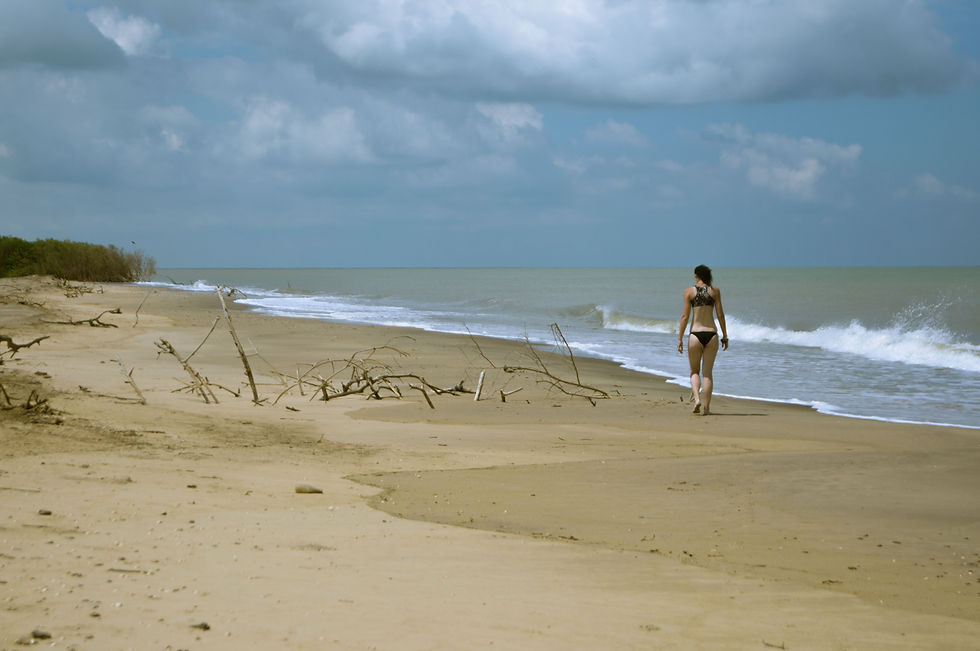 Golfo de Venezuela