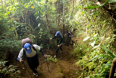 Trekking en sendero Las Toyotas