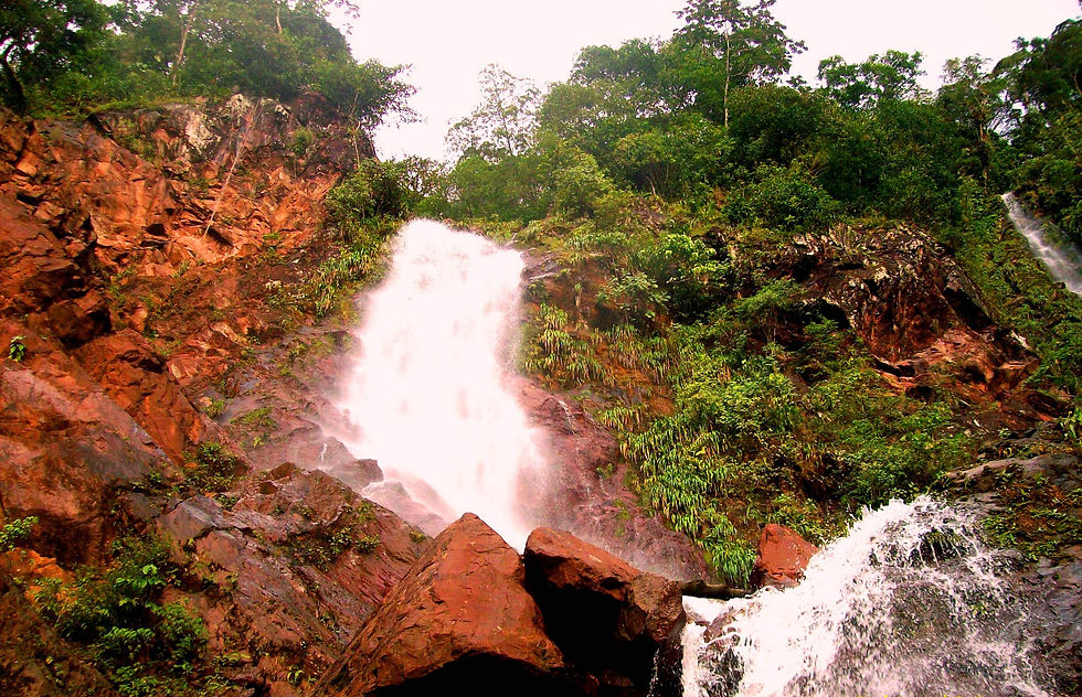 Cascada en bosque de transición