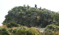 1pcio El Jabón