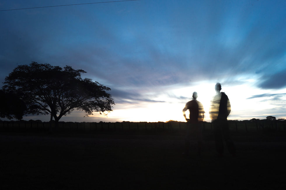 Amanecer en llanos centrales