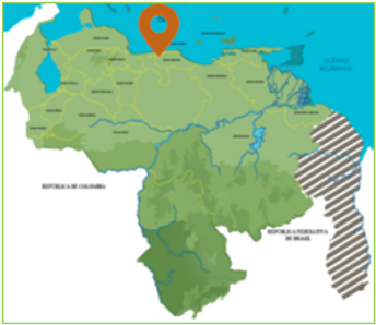 Cuevas Indio Local.png